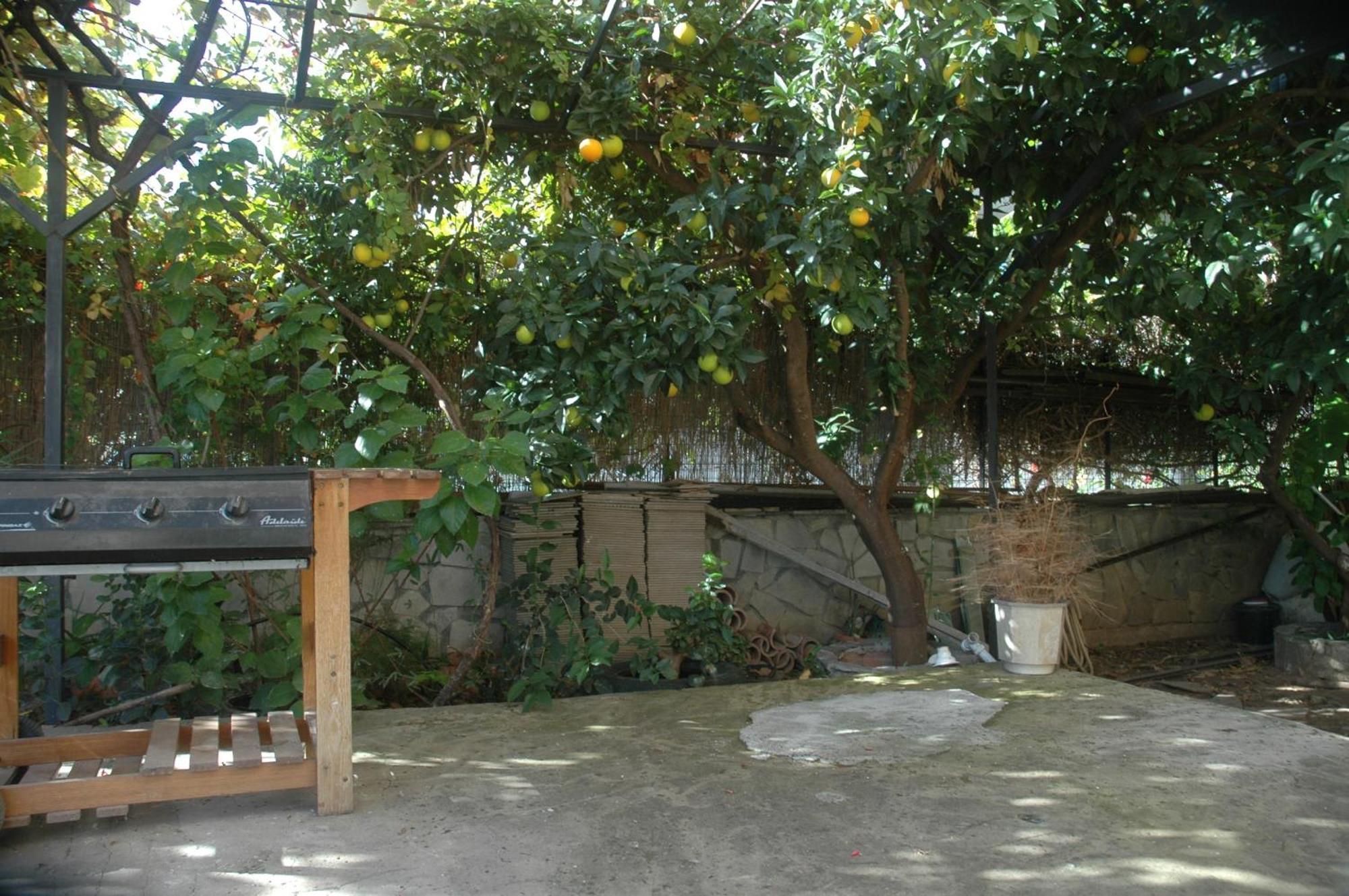 Mare - Mare B Otel Patras Dış mekan fotoğraf