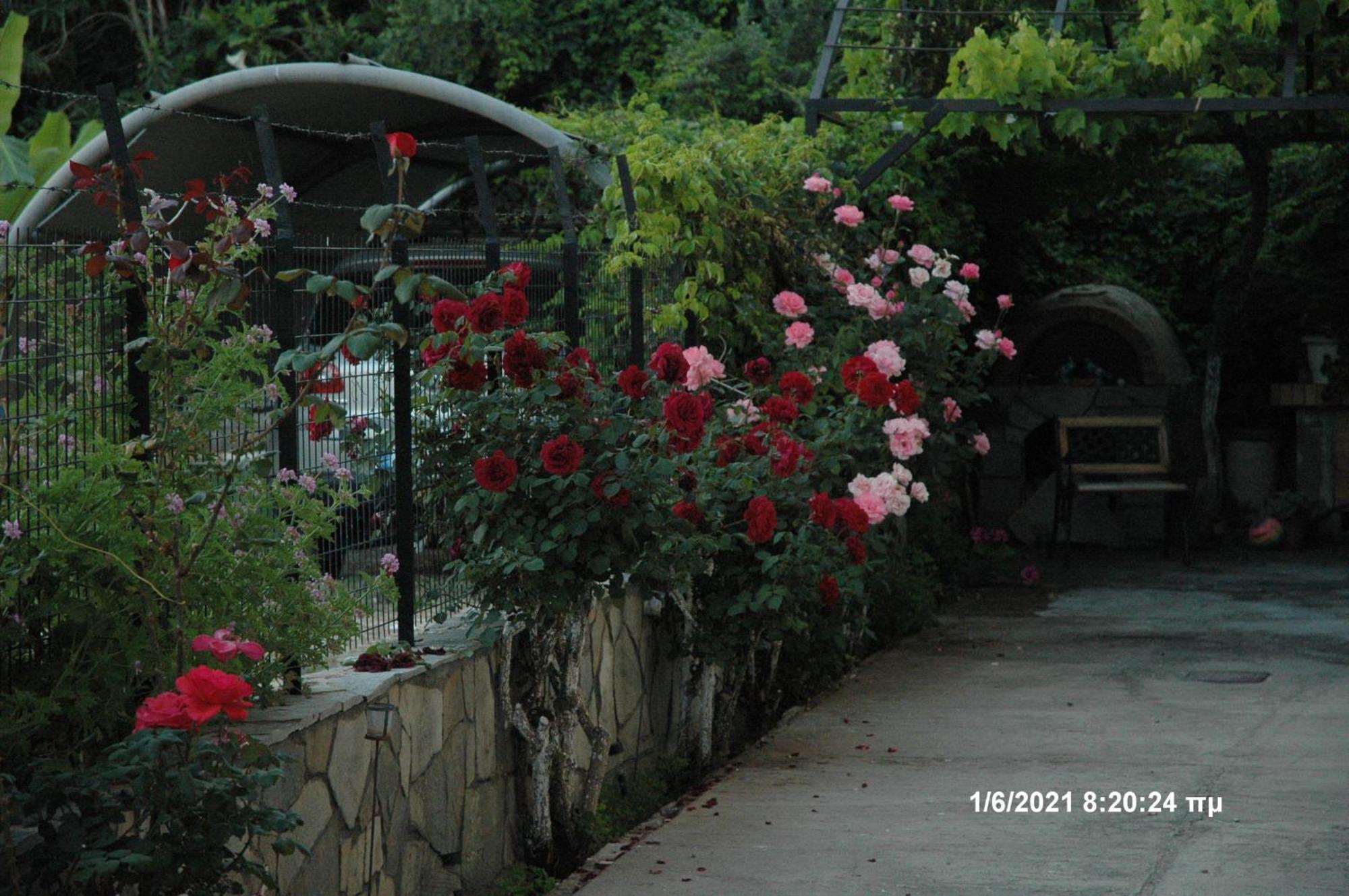Mare - Mare B Otel Patras Dış mekan fotoğraf